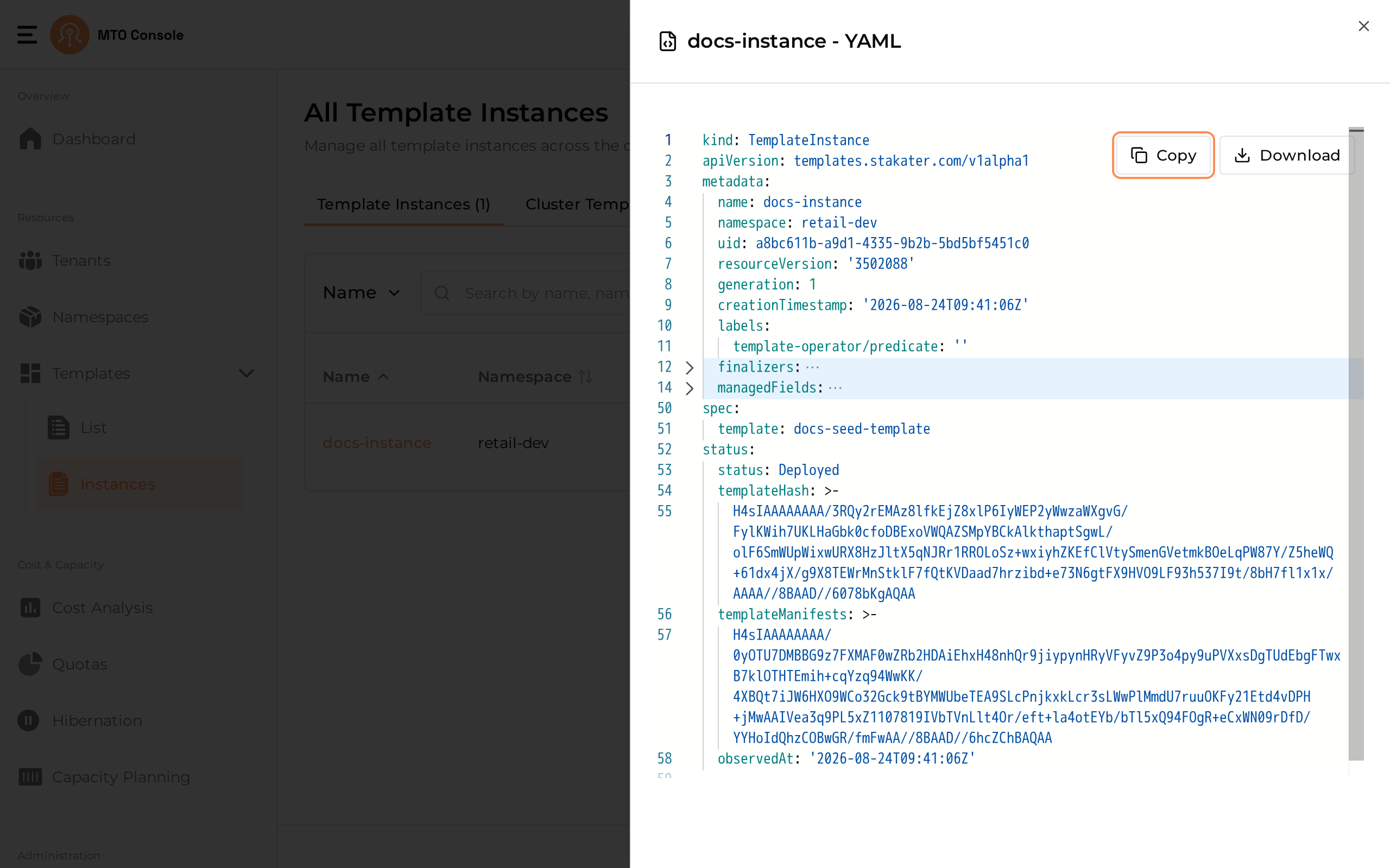 template-instance-yaml-view