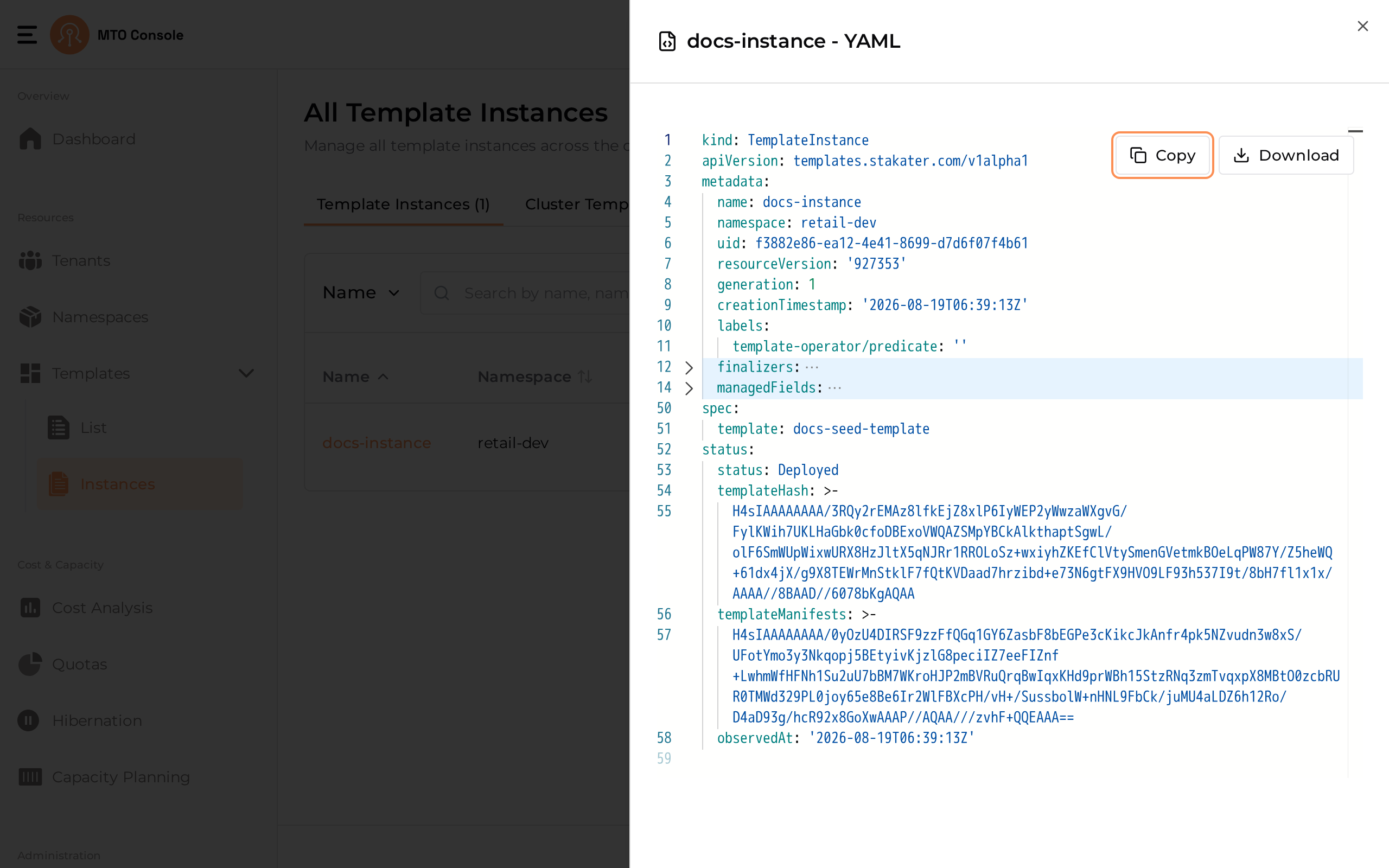 template-instance-yaml-view