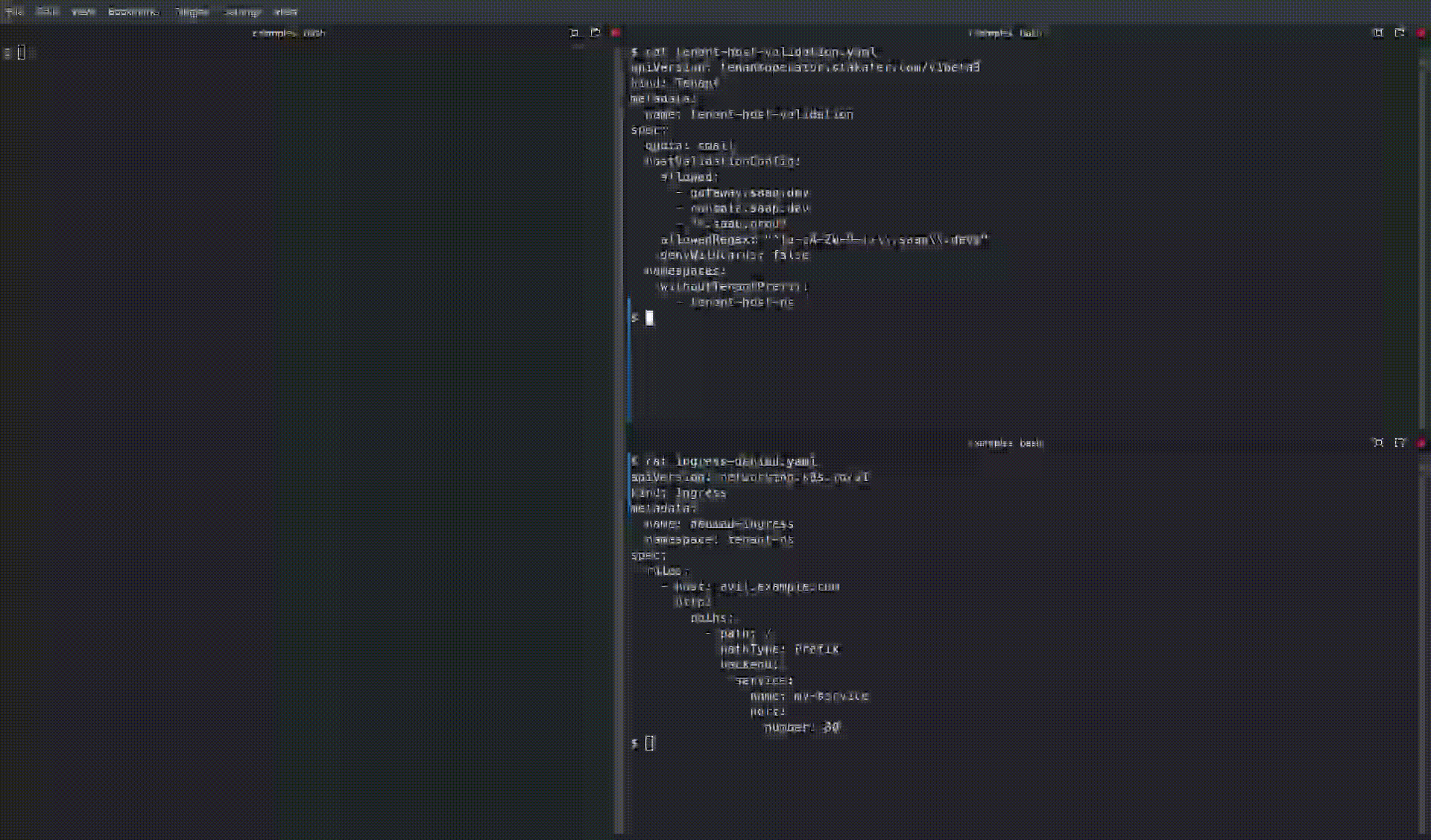 Ingress Host Validation