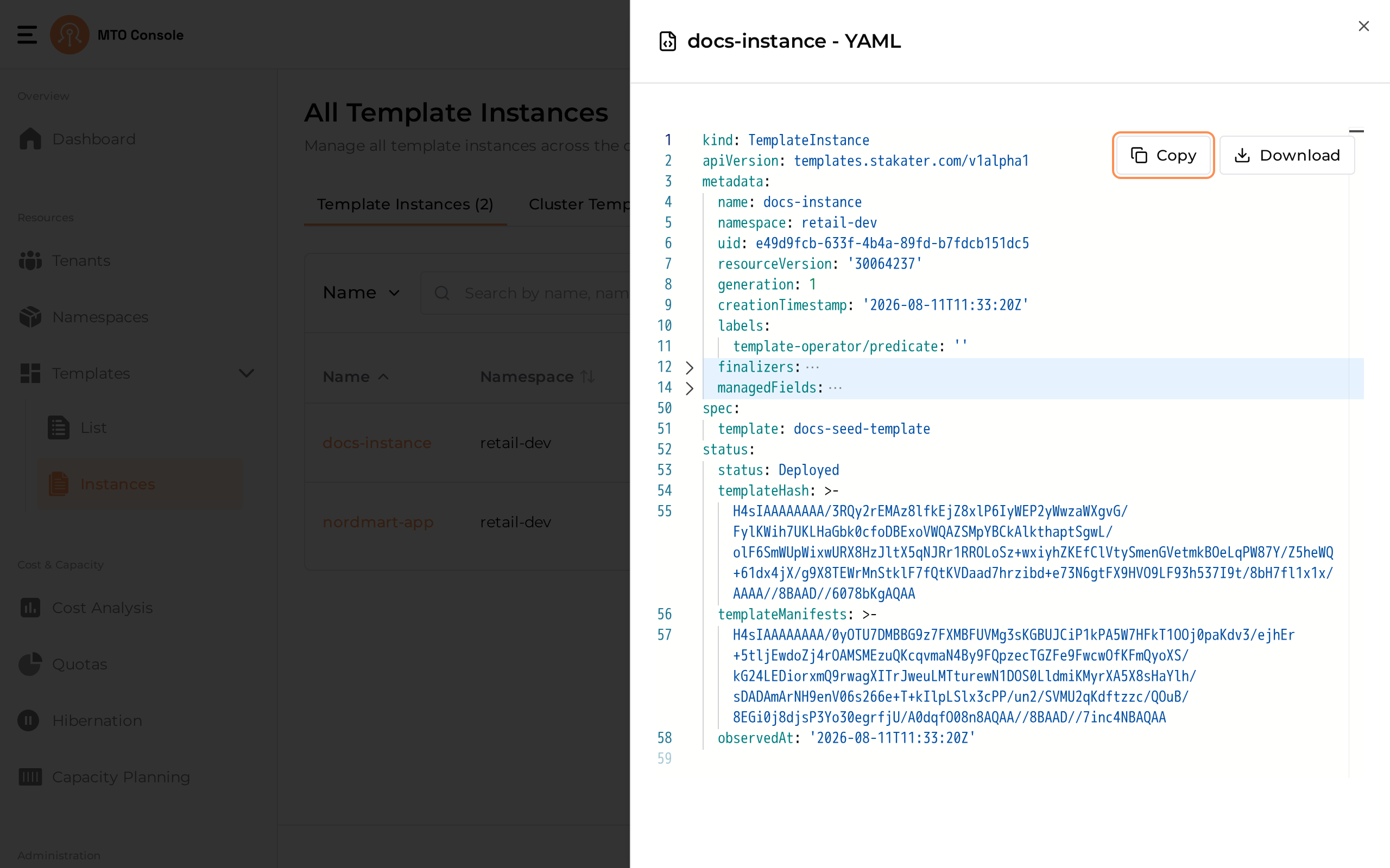 template-instance-yaml-view