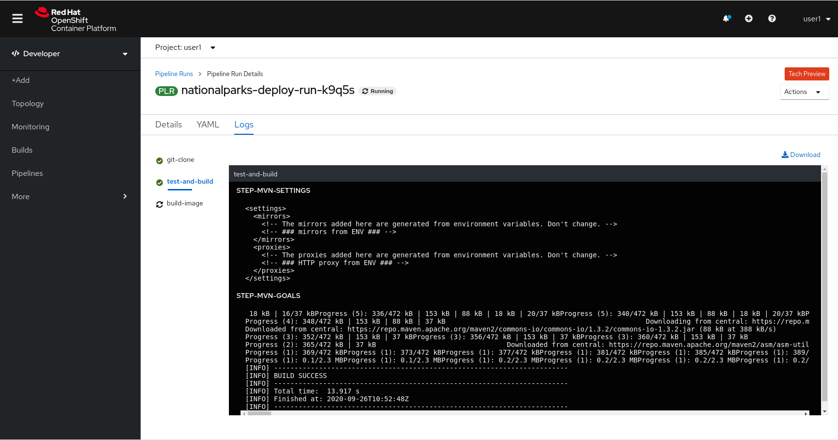 Pipeline Task log